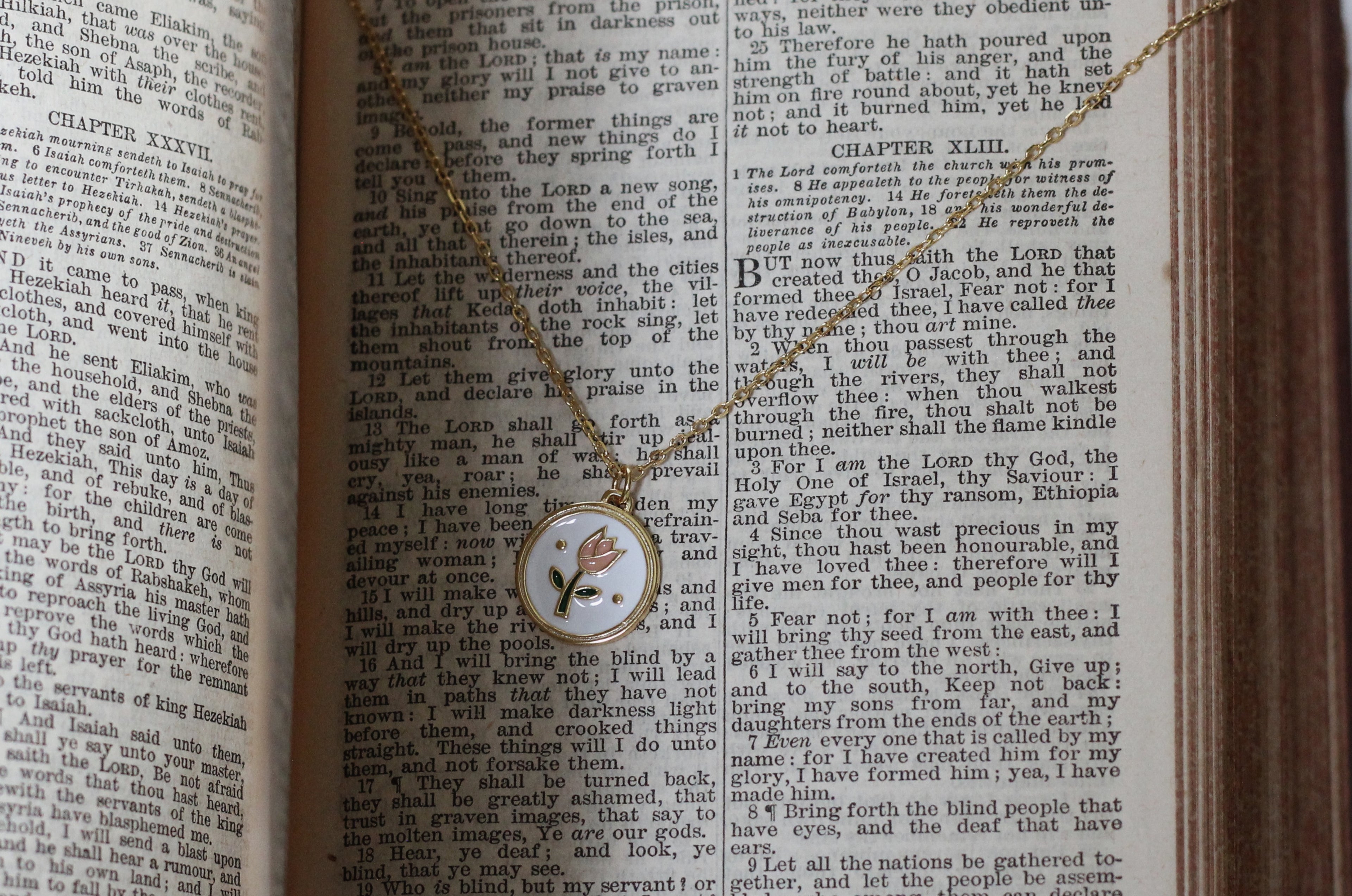 "Consider the Lilly Necklace"