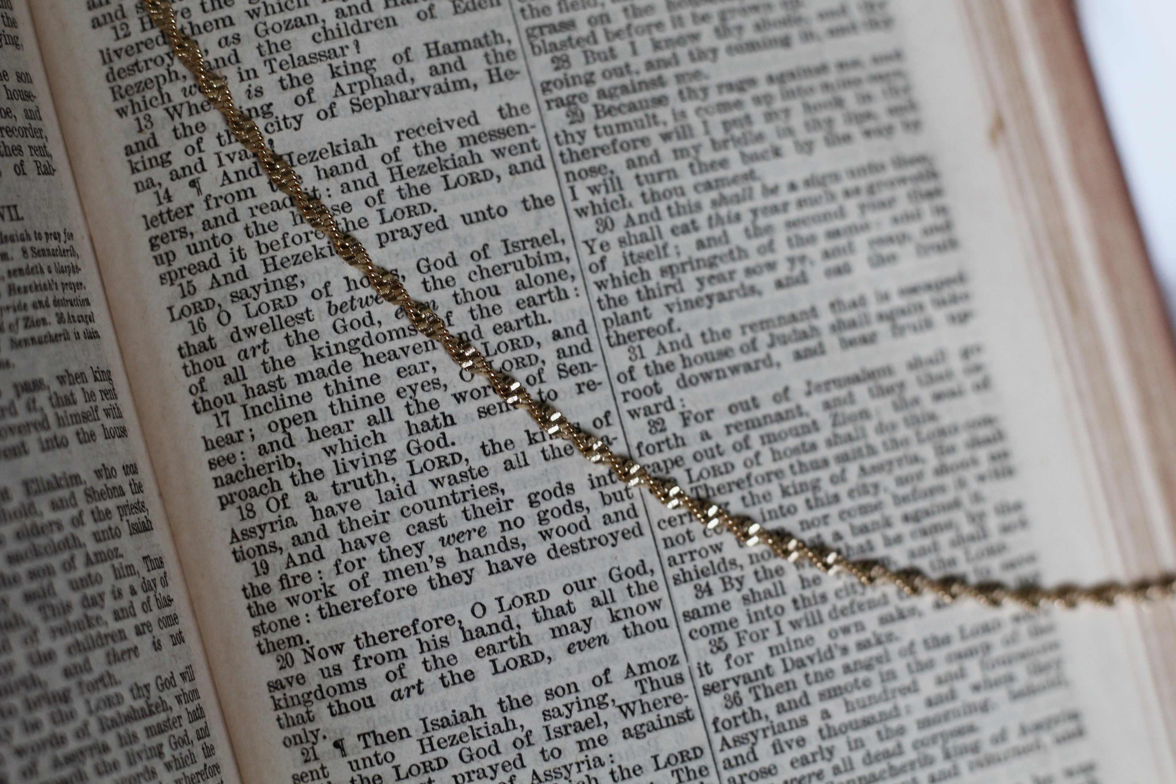 "Joy of Life" Gold Twist Necklace