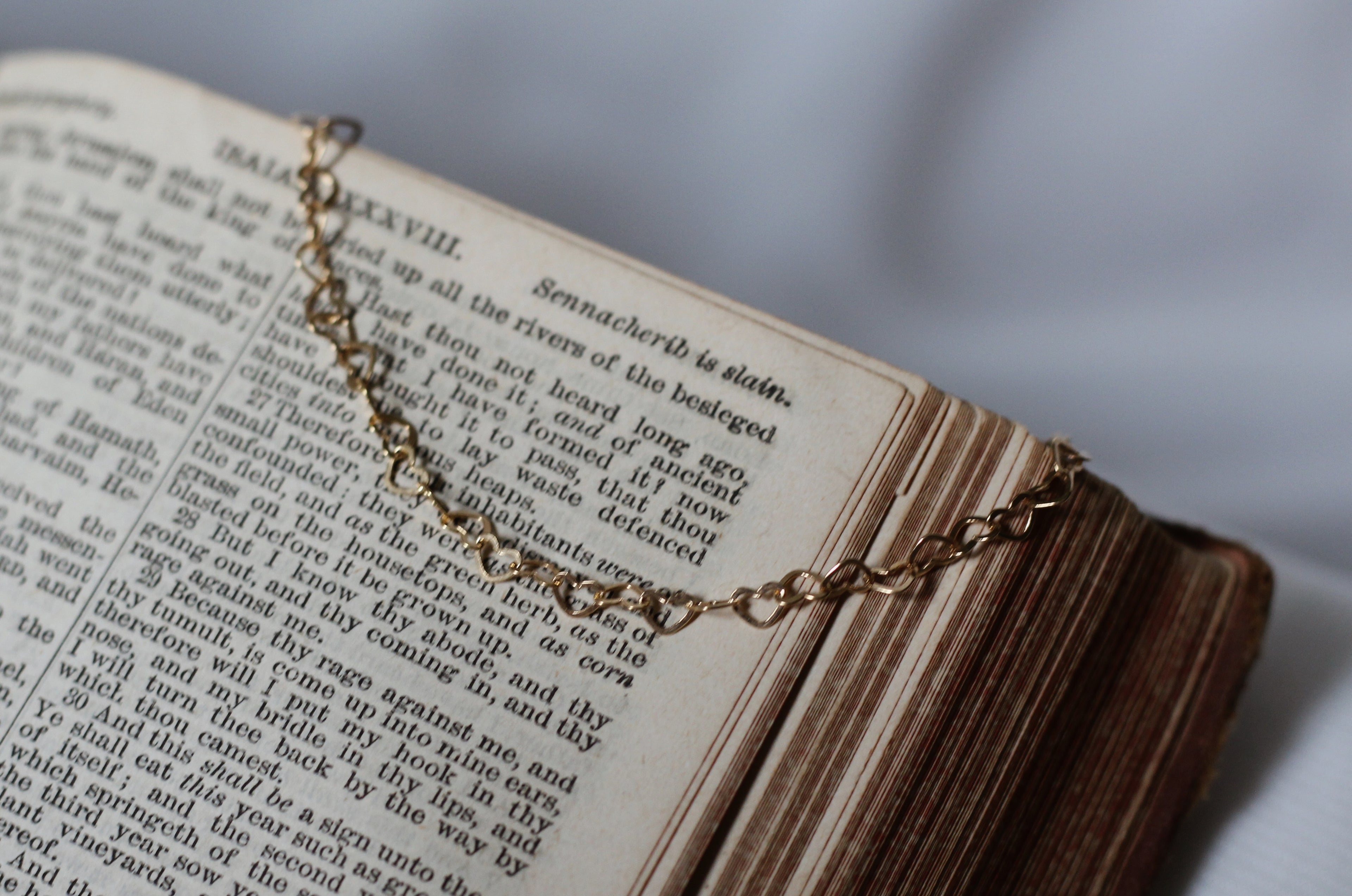 "The Rooted Heart" Bracelet